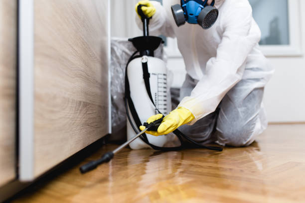 Best Pest Removal Services  in Branchville, SC