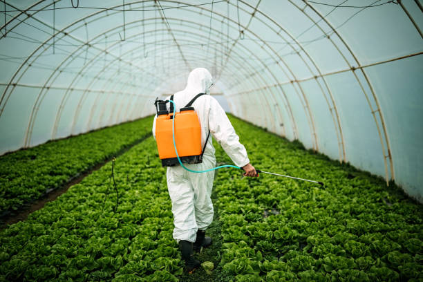 Best Pest Removal Services  in Branchville, SC