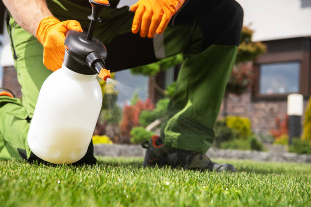 Best Best Pest Control Companies  in Branchville, SC