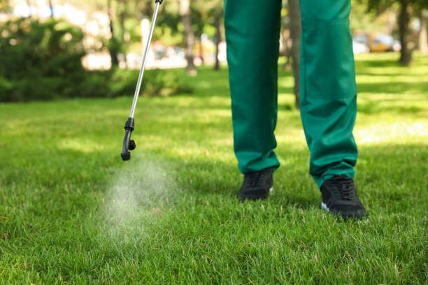 Wasp Removal Services in Branchville, SC