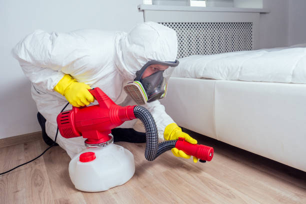 Reliable Branchville, SC Pest Control Solutions