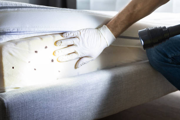 Best Affordable Pest Control Services  in Branchville, SC