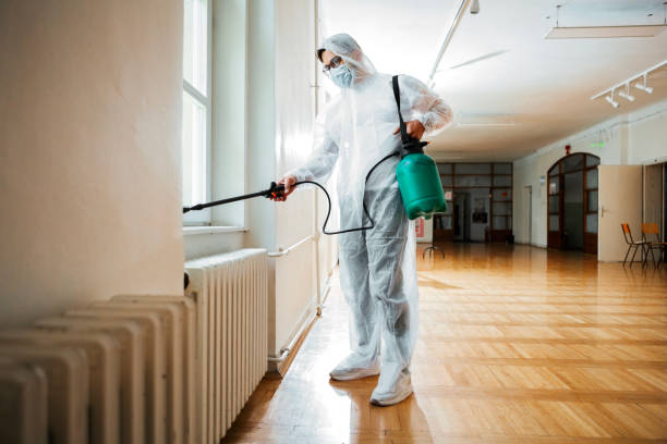 Best Wasp Removal Services  in Branchville, SC
