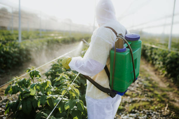 Best Pest Control Treatment  in Branchville, SC